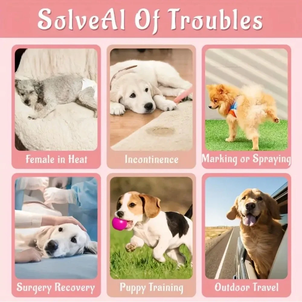 Size Small Female Dog Diapers